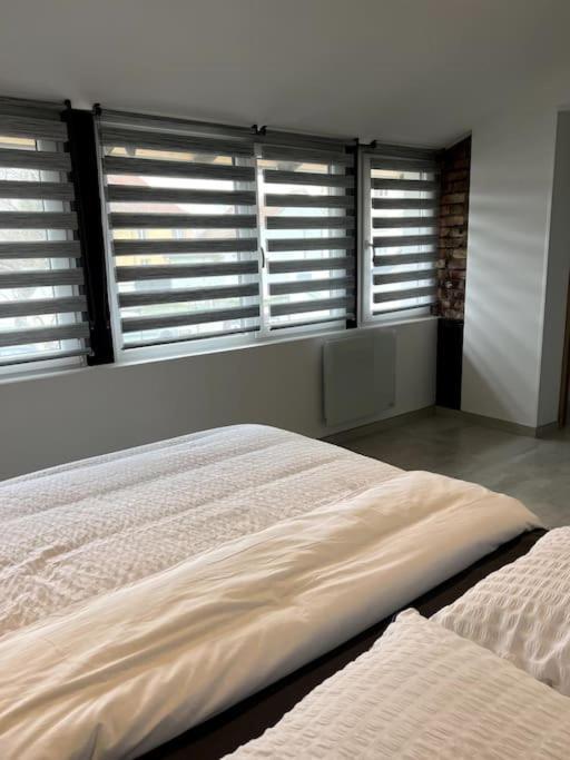 Appartement Duplex Avec Jardin إينغرسهايم المظهر الخارجي الصورة